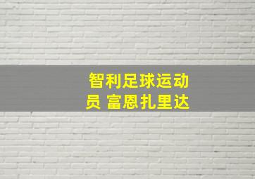 智利足球运动员 富恩扎里达